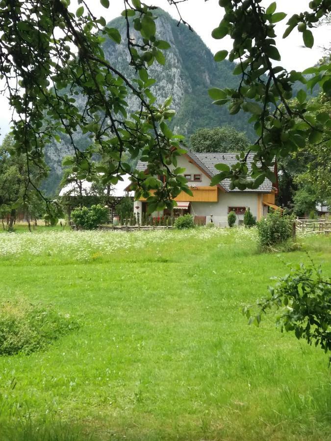 Apartma Bremec-Studio Bohinj Buitenkant foto