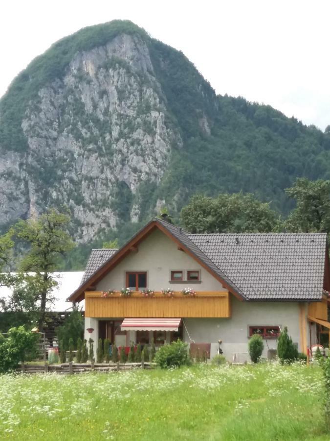 Apartma Bremec-Studio Bohinj Buitenkant foto