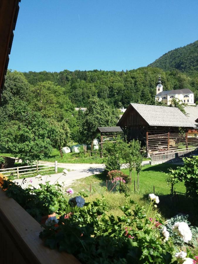 Apartma Bremec-Studio Bohinj Buitenkant foto