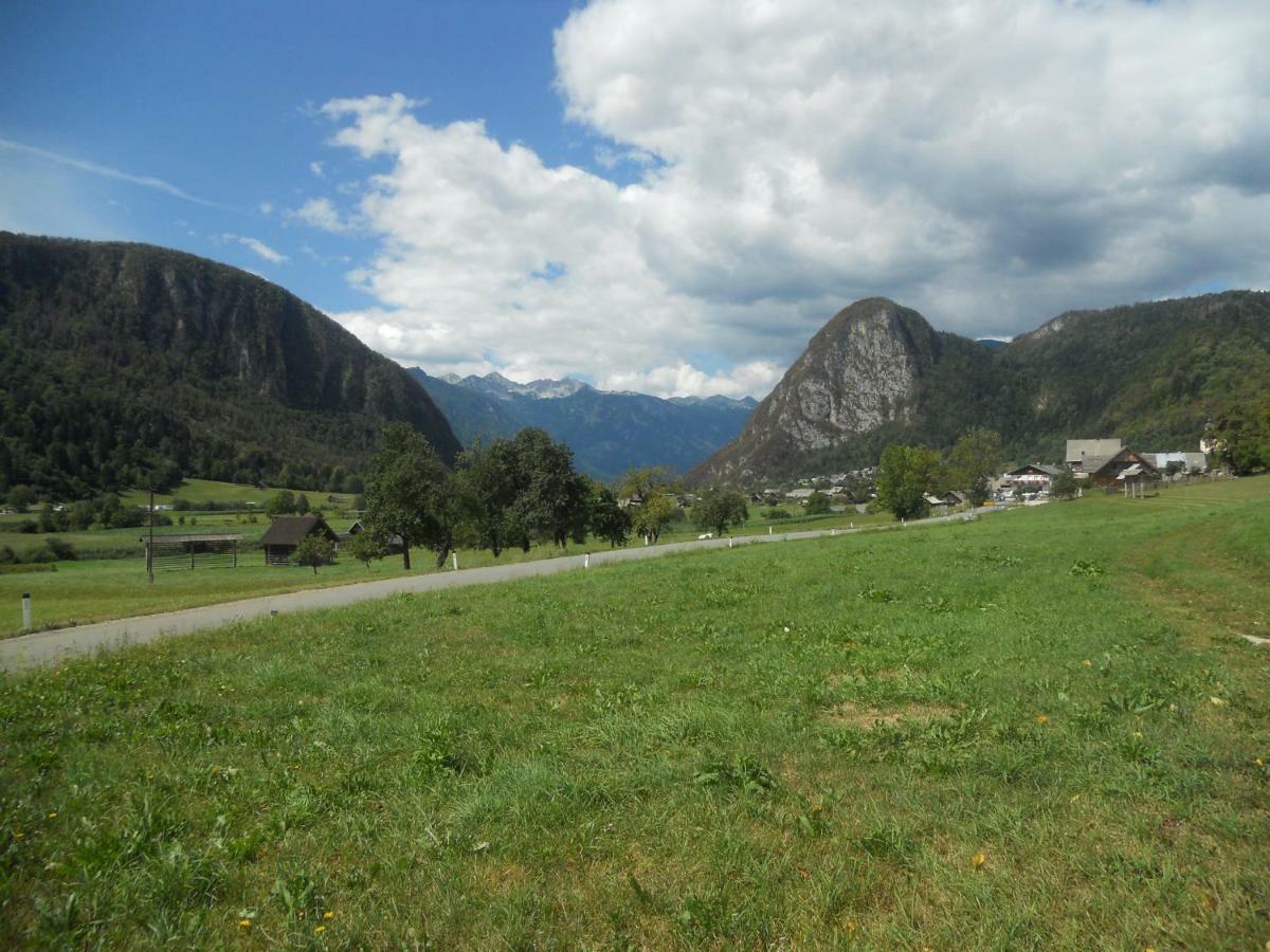 Apartma Bremec-Studio Bohinj Buitenkant foto